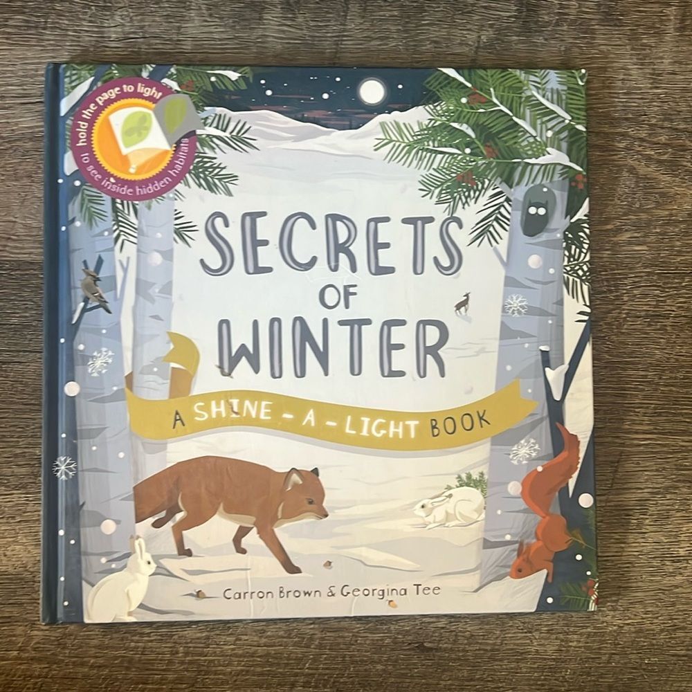 Secrets of Winter Shine-A-Light Book Kane Miller Kids Interactive Flashlight HC